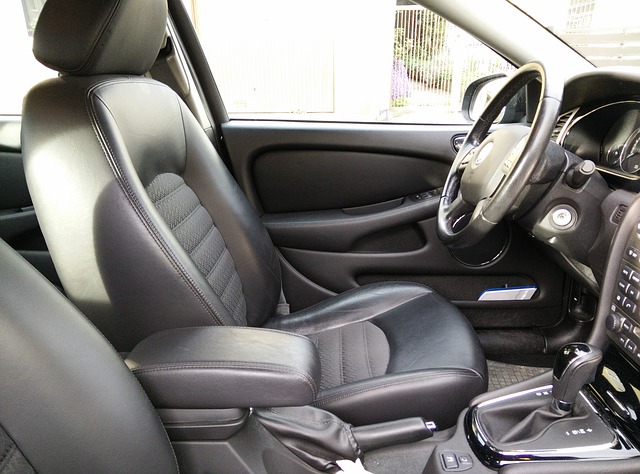 Vehicle Interior